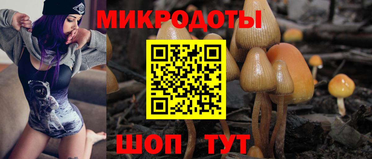 Галлюциногенные грибы прущие грибы Нефтекумск