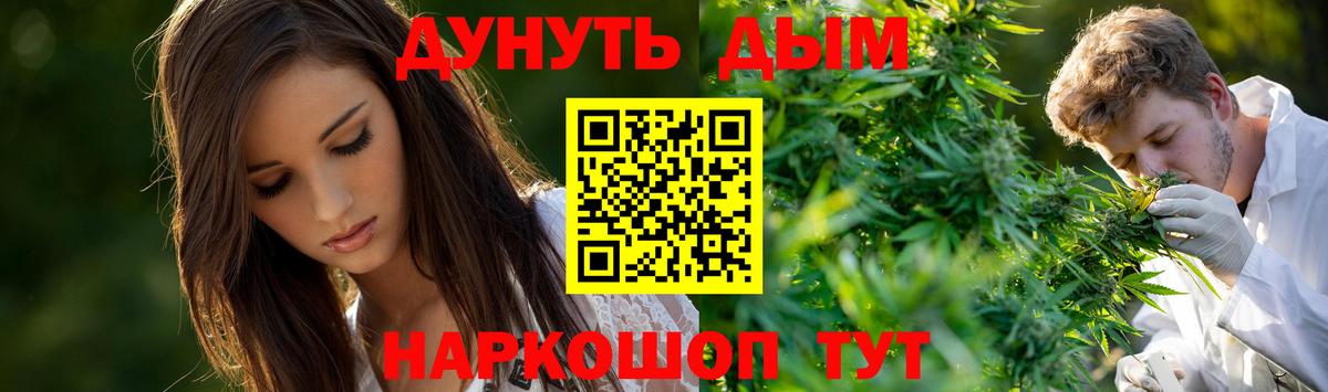 Марихуана Bruce Banner  Бошки Шишки White Widow  Нефтекумск  Вход с VPN  Бошки марихуана Bruce Banner 